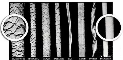 化妆刷怎么保养丨什么化妆刷刷毛比较好用?