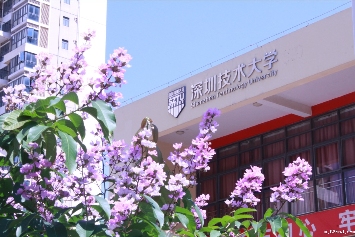 2019化妆刷团体标准启动仪式